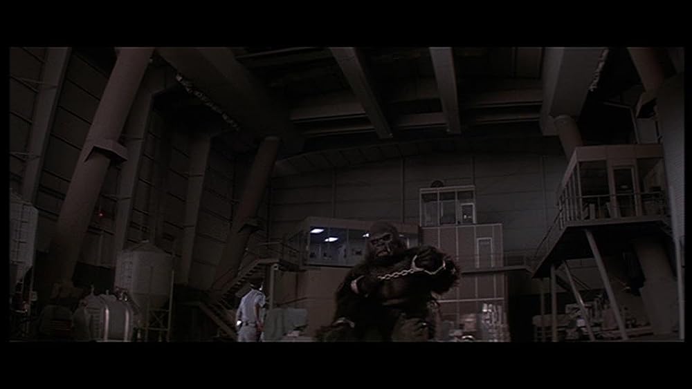 キングコング2の画像