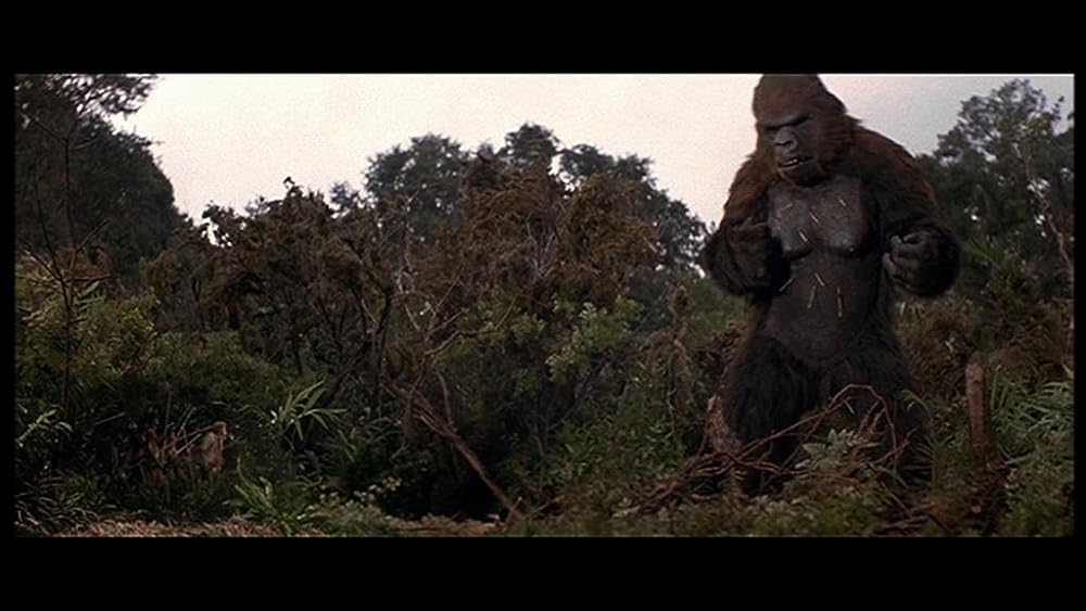 キングコング2の画像