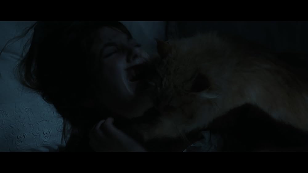 ジェーン・バーキン in ヴェルヴェットの森の画像