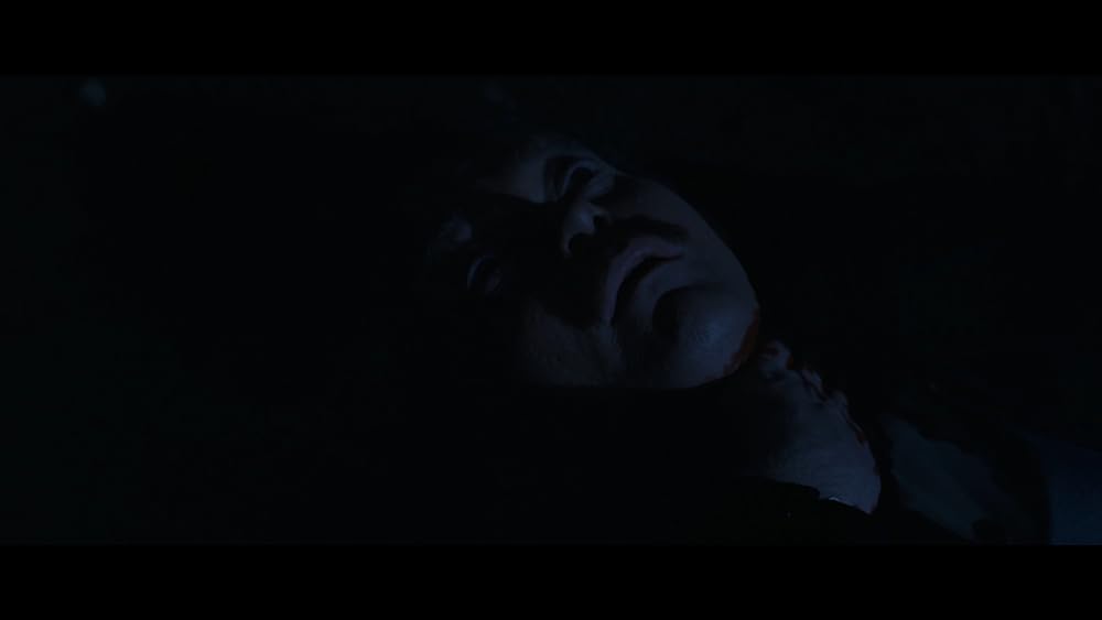 ジェーン・バーキン in ヴェルヴェットの森の画像