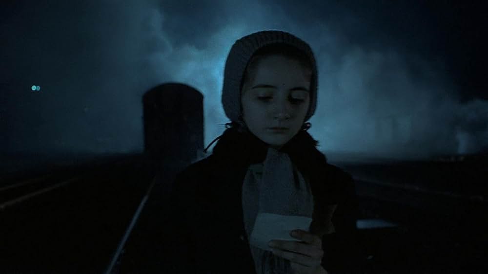 「聖なる嘘つき／その名はジェイコブ」の画像