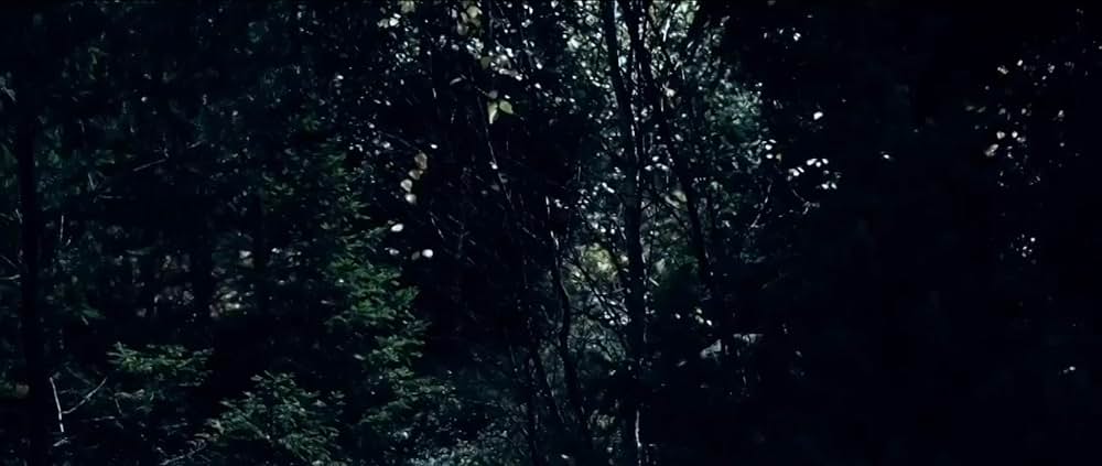 悪霊のはらわたの画像