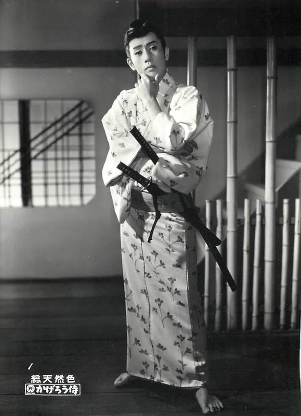 かげろう侍の画像