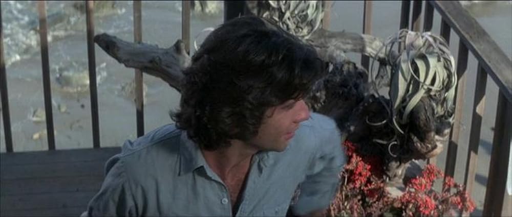 年上の女の画像