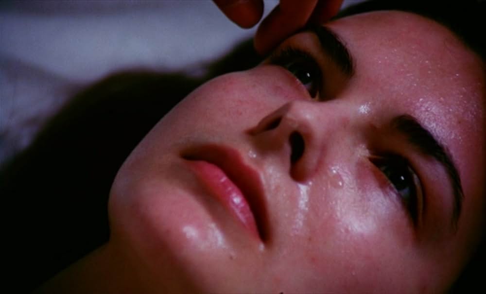 愚か者の日の写真