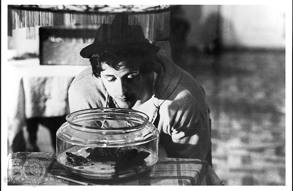 「ロッキー」シルベスター・スタローンの画像