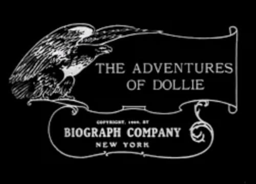 ドリーの冒険の写真