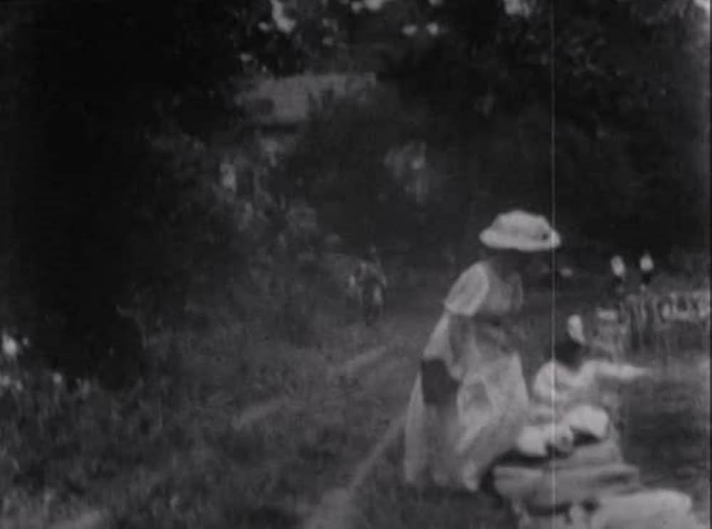 ドリーの冒険の画像