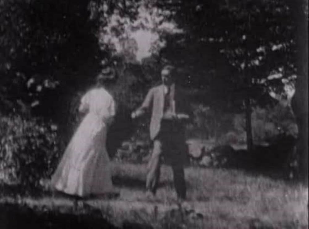 ドリーの冒険の画像