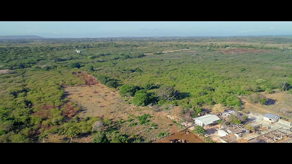 WASP ネットワークの画像