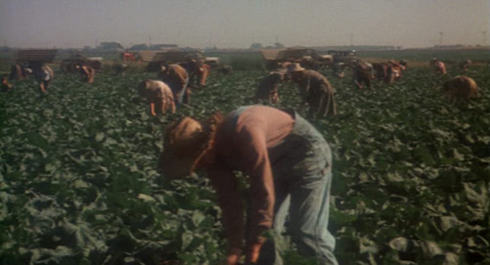 「ウディ・ガスリー／わが心のふるさと」の画像