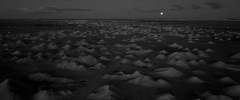 Limbo（原題）の画像