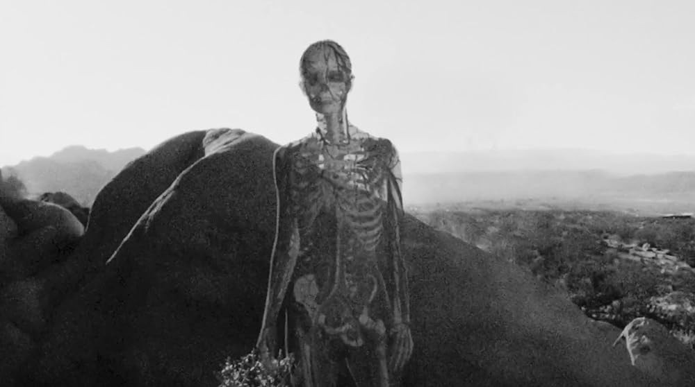 Divinity（原題）の画像