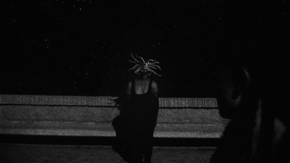 Divinity（原題）の画像