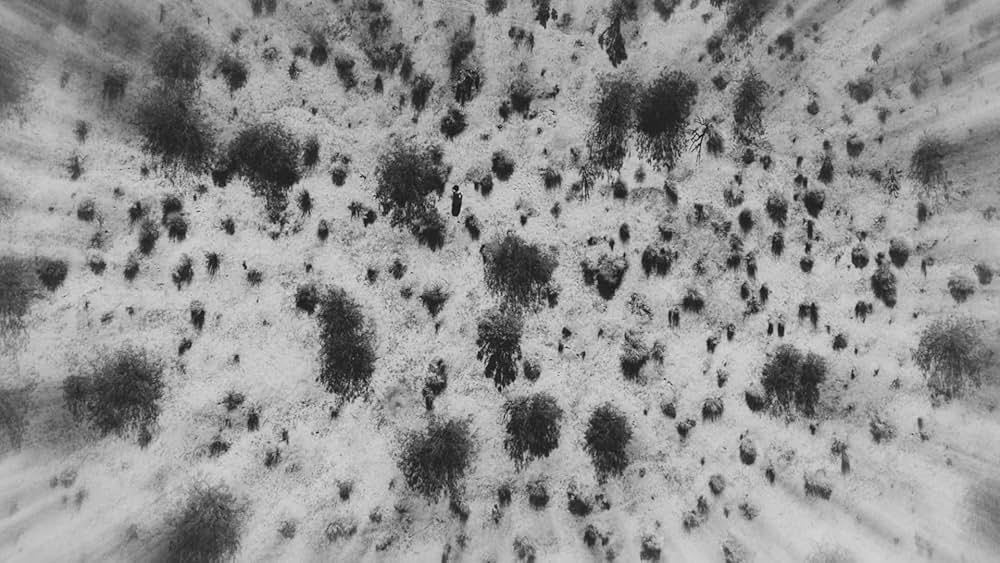 Divinity（原題）の画像