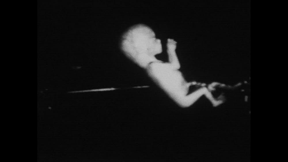 「Divinity（原題）」の画像