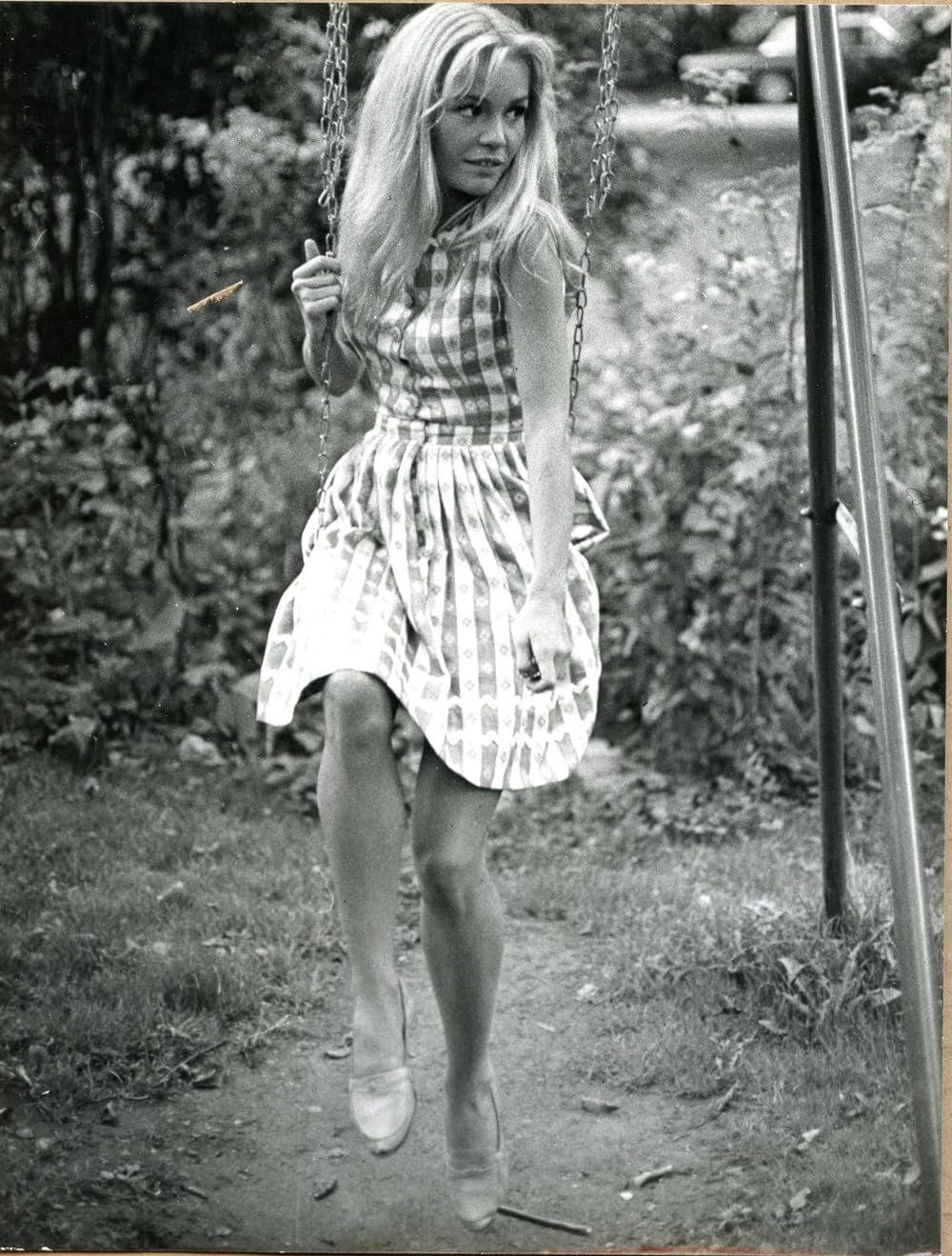 かわいい毒草の画像