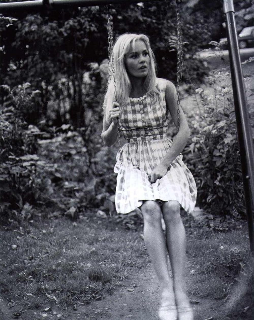 かわいい毒草の画像