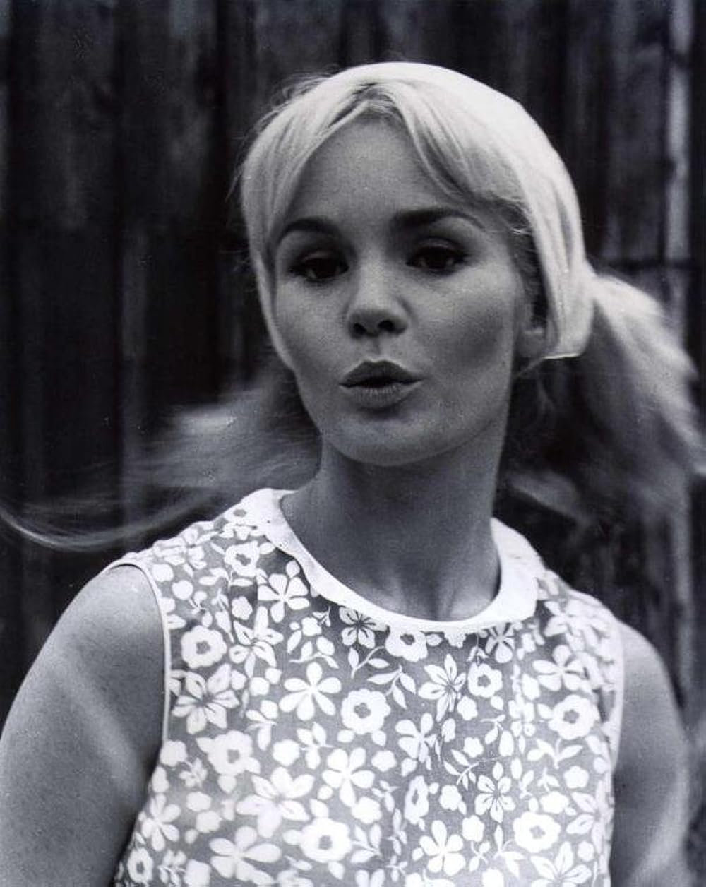 かわいい毒草の画像