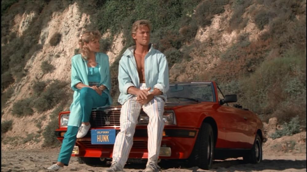 ザ・パーフェクト・ガイ／ハンクの画像