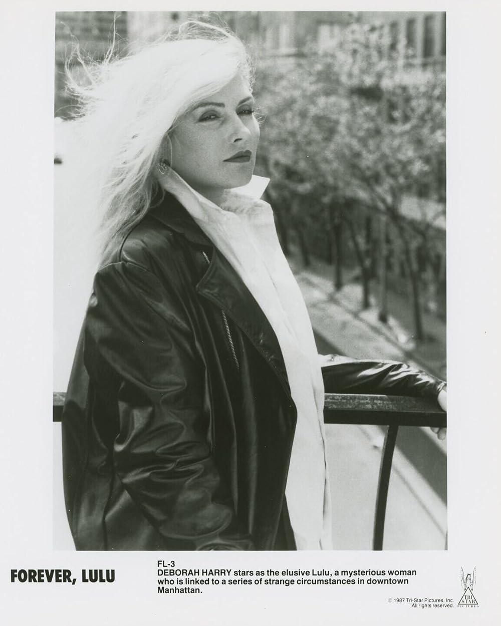 ウーマン・イン・ニューヨークの画像