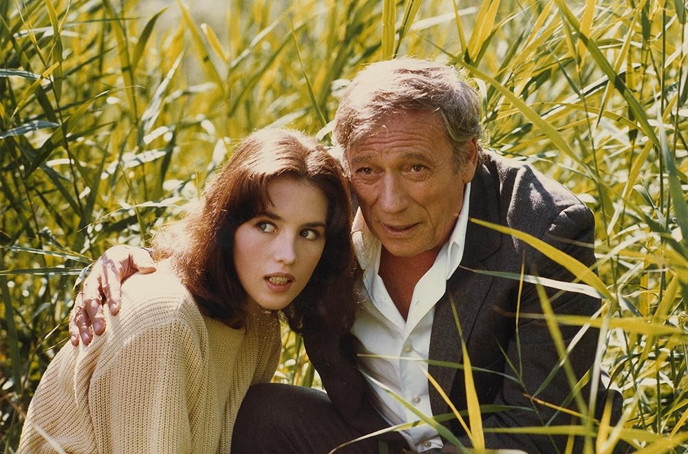 炎のごとくの画像