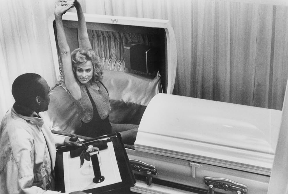 ワンス・ビトゥン／恋のチューチューバンパイアの画像