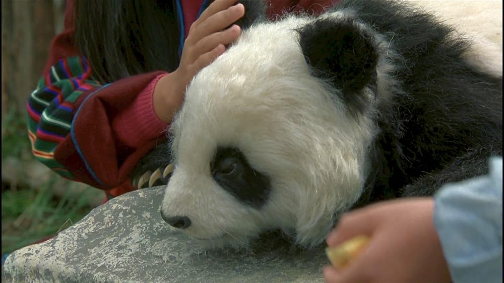 リトル・パンダの冒険の画像