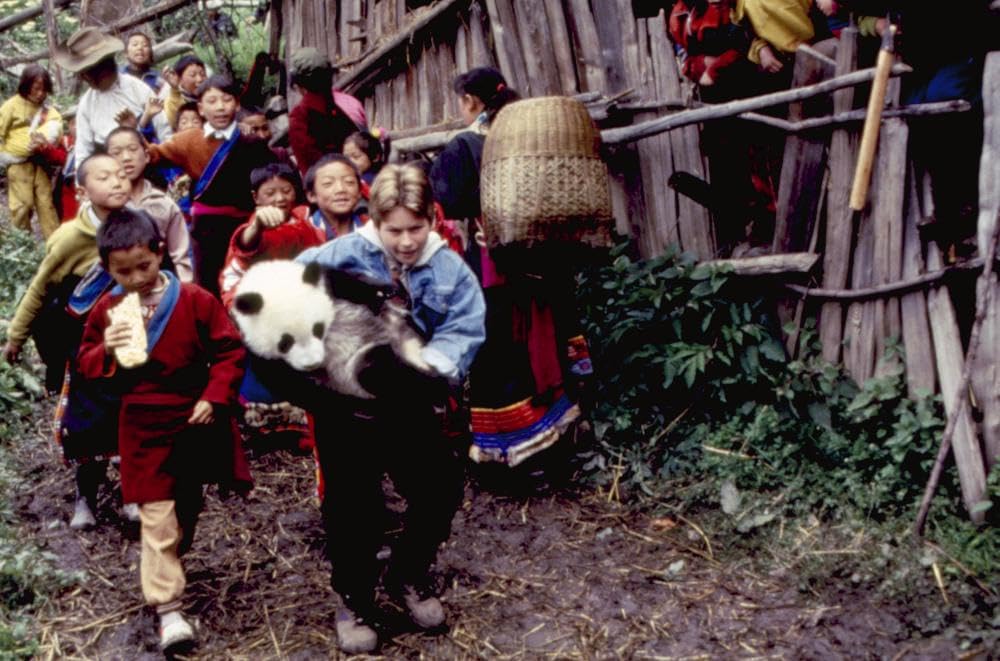 リトル・パンダの冒険の写真