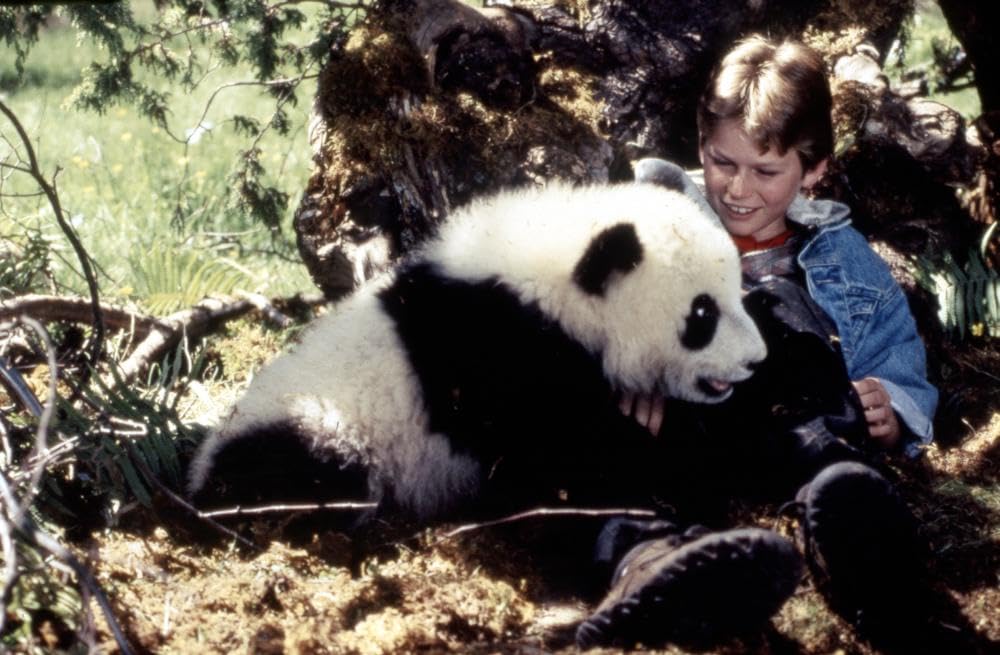 「リトル・パンダの冒険」の画像