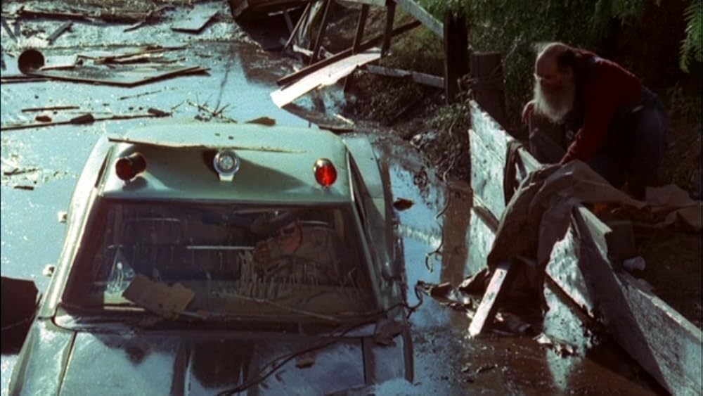 レーシング・ブルの画像