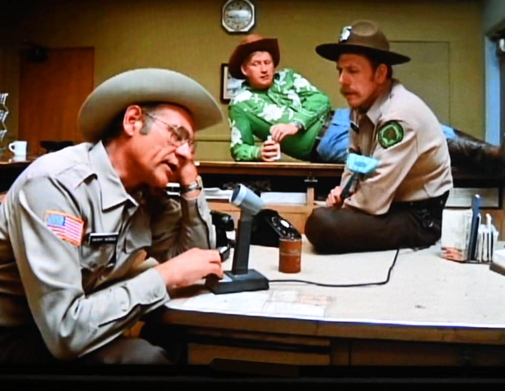 レーシング・ブルの画像