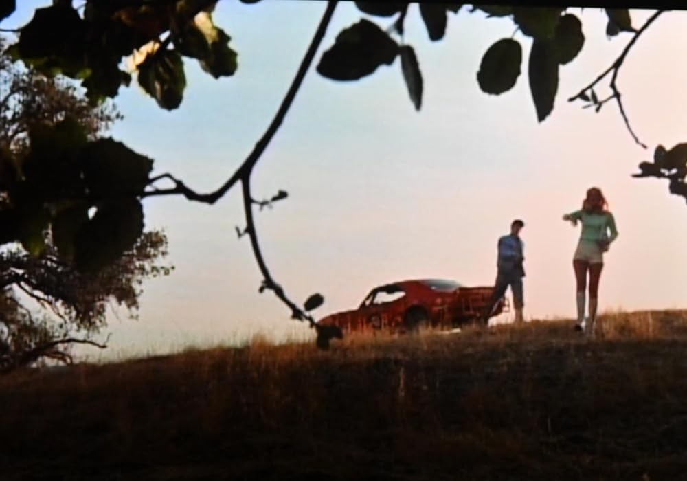 レーシング・ブルの画像