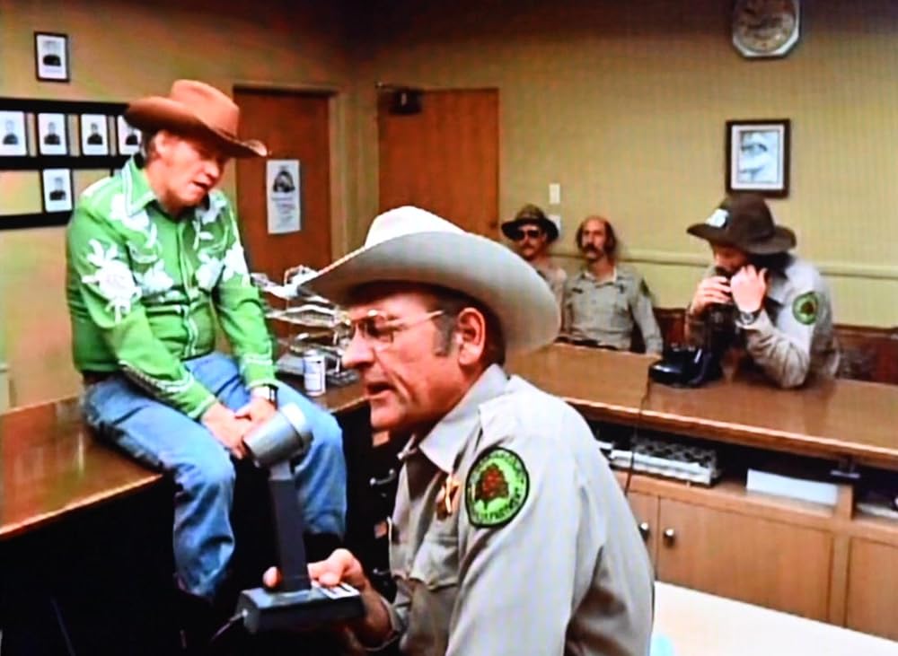 レーシング・ブルの画像