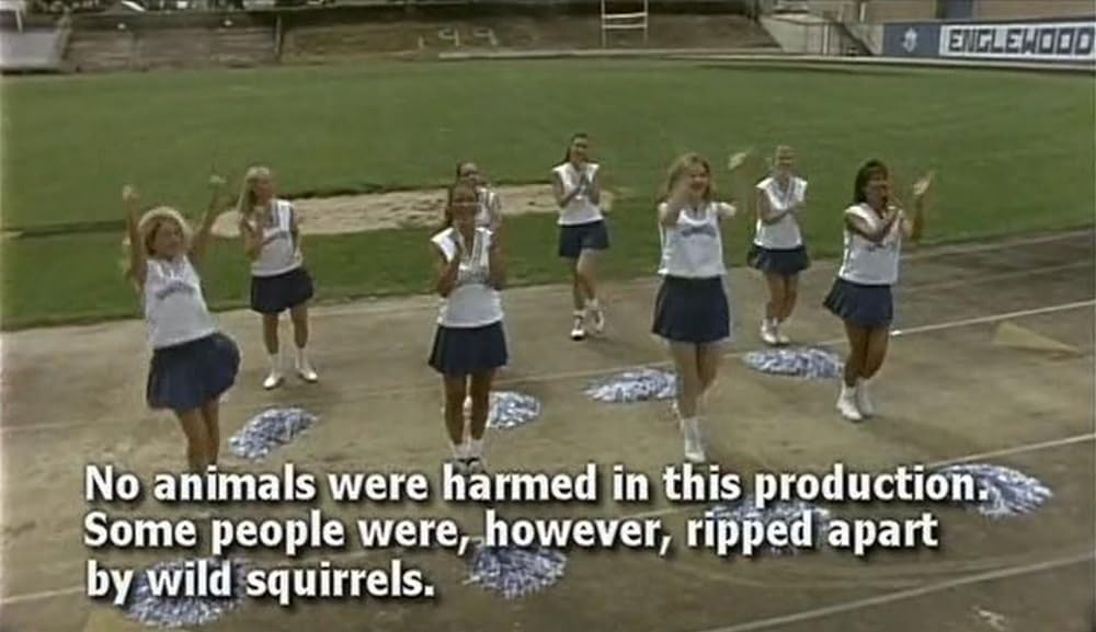 チアリーダー忍者の画像