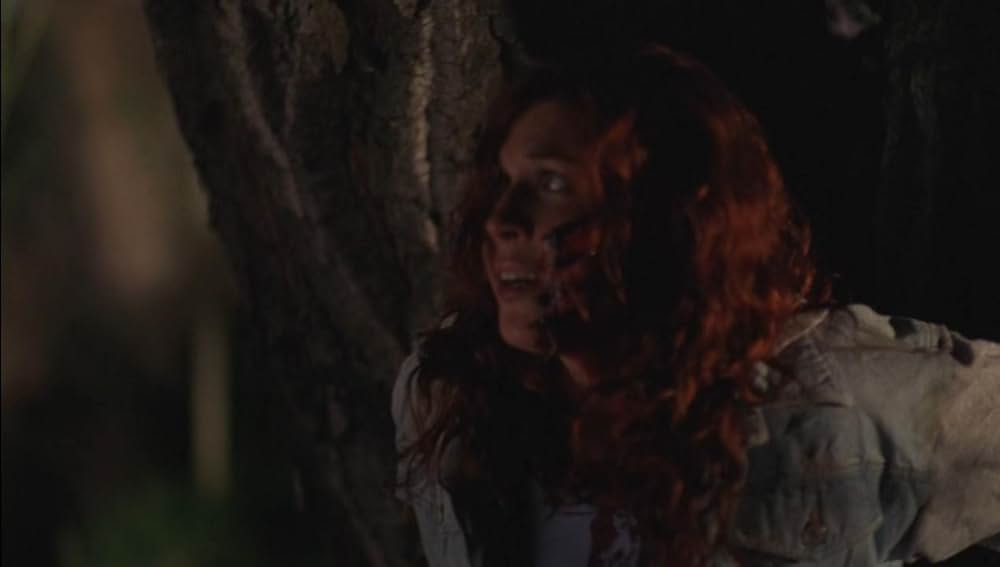 ザ・ビースト 〜ブレイロードの悪夢〜の画像