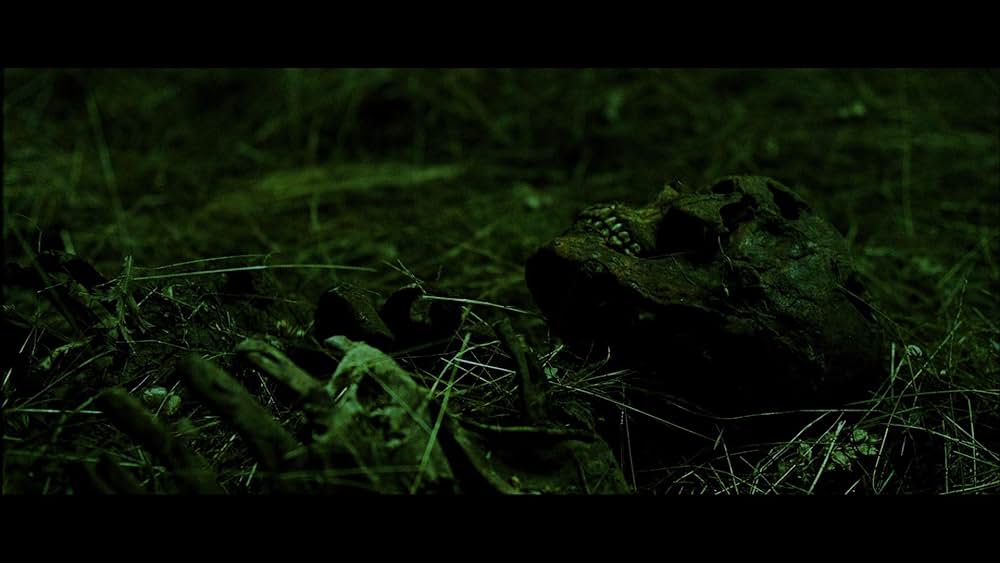 ホーンテッドの画像