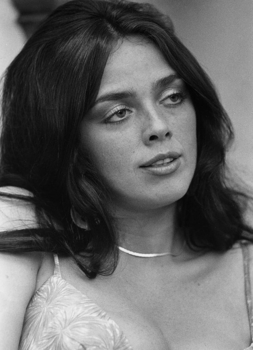 UP！メガ・ヴィクセンの画像