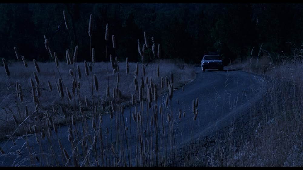 UP！メガ・ヴィクセンの画像