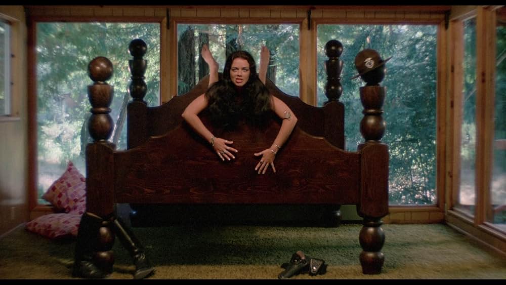 UP！メガ・ヴィクセンの画像