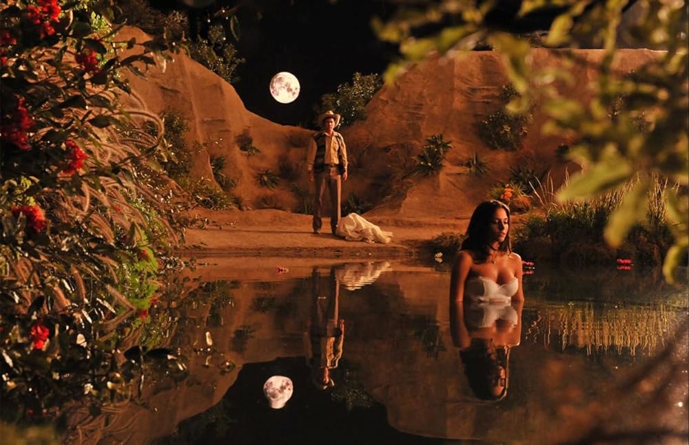 俺たちサボテン・アミーゴの画像