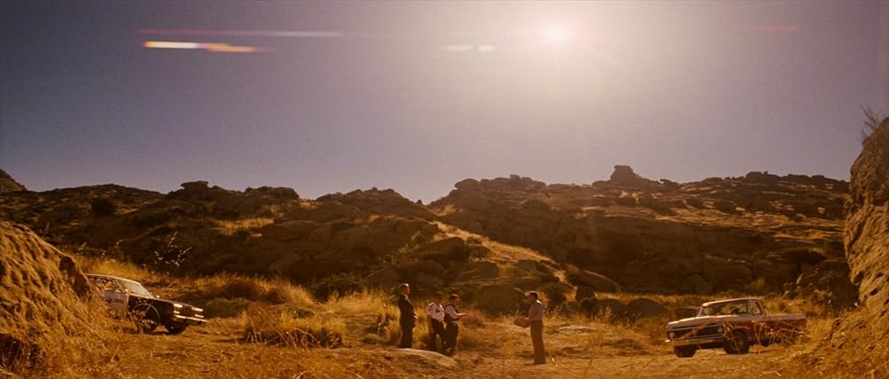 俺たちサボテン・アミーゴの画像