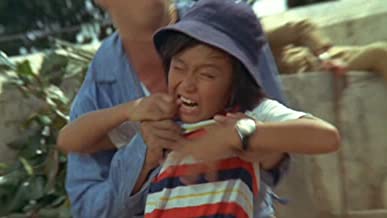 太陽にかける橋／ペーパー・タイガーの画像