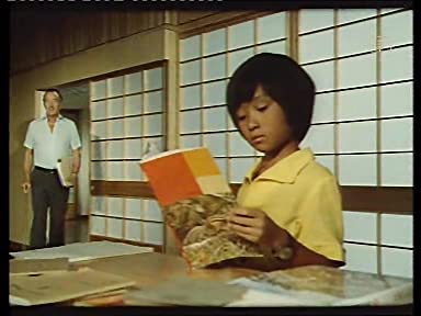 「太陽にかける橋／ペーパー・タイガー」デビッド・ニーブンの画像