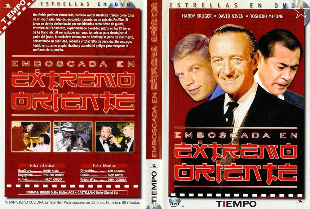 太陽にかける橋／ペーパー・タイガーの画像