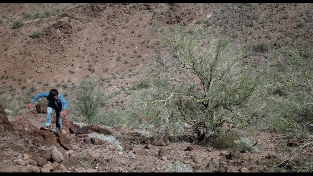 スーパー・ヴィクセンの画像