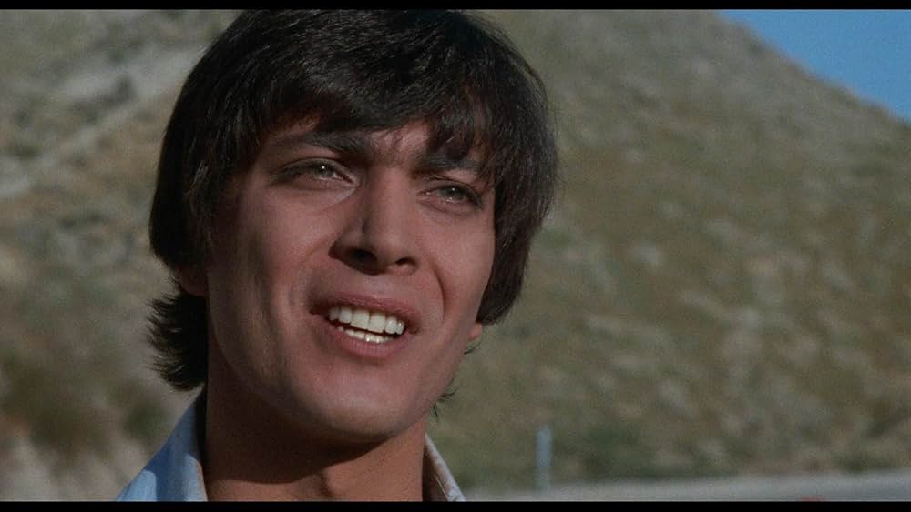 スーパー・ヴィクセンの画像