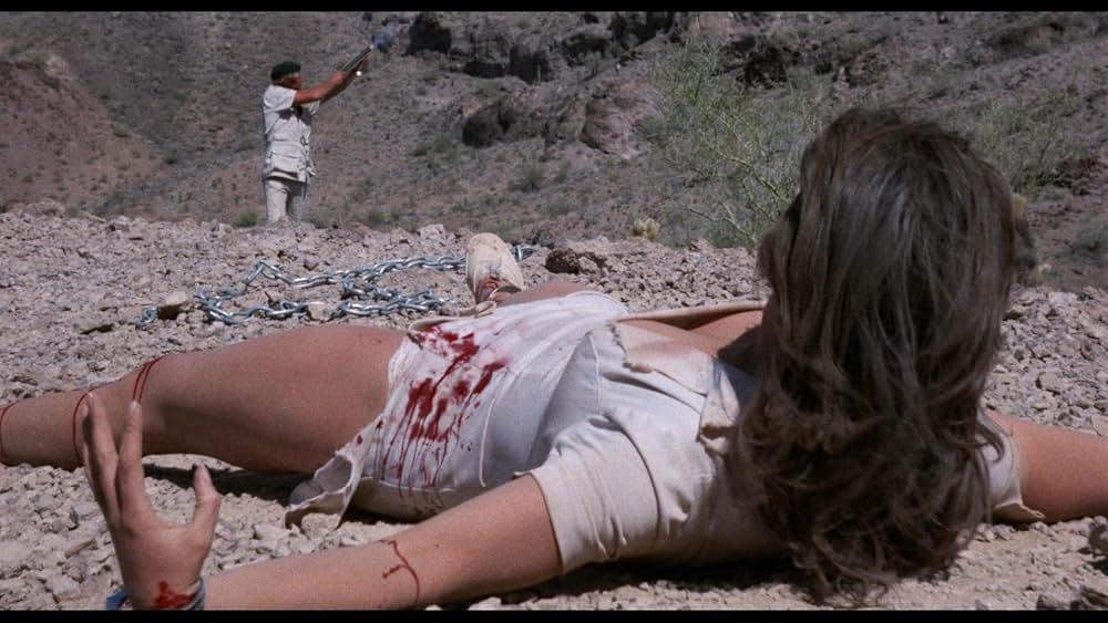 スーパー・ヴィクセンの画像