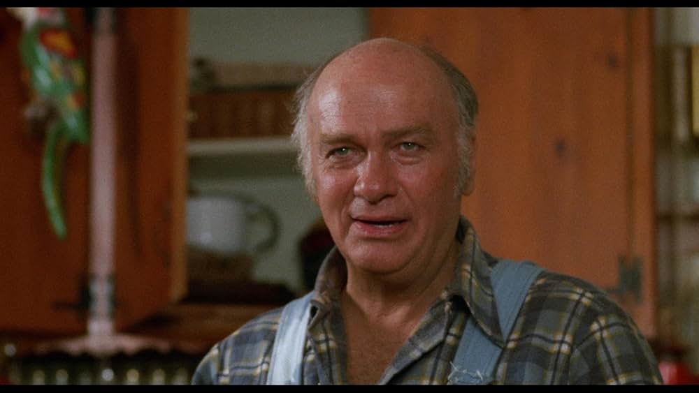 スーパー・ヴィクセンの画像