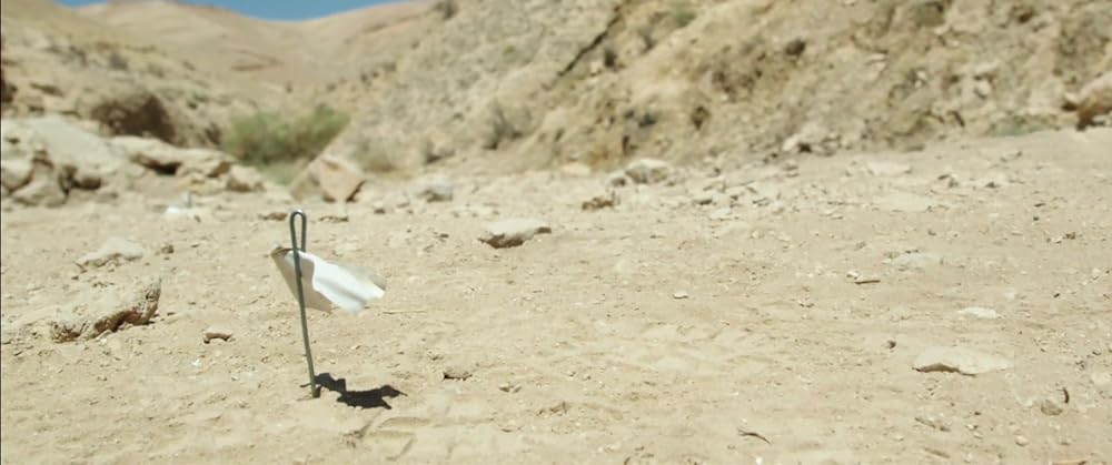 アフガン・レポートの画像